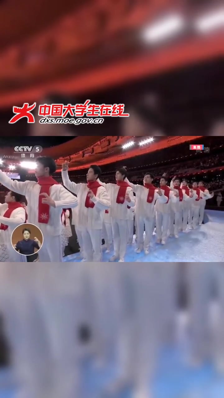 鸟巢里的手语版国歌 升国旗,奏国歌!看到手语版国歌,感动!