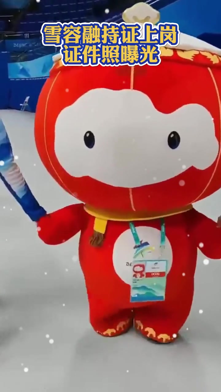 持证上岗来看看雪容融的证件照长啥样逐梦北京冬奥冬残奥会雪容融
