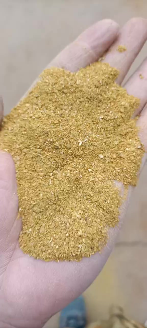 厂家现货 饲料级玉米酒糟 ddgs 酒香浓郁 适口性好 玉米酒糟-度小视