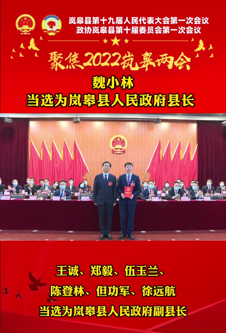 聚焦两会岚皋魏小林当选为岚皋县人民政府县长