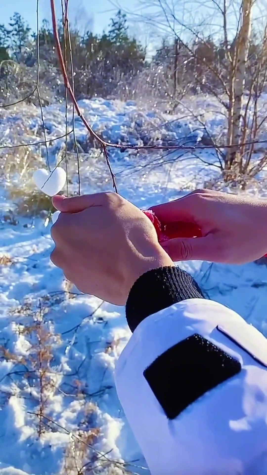 2021的第一场雪你是和谁一起看的呢?