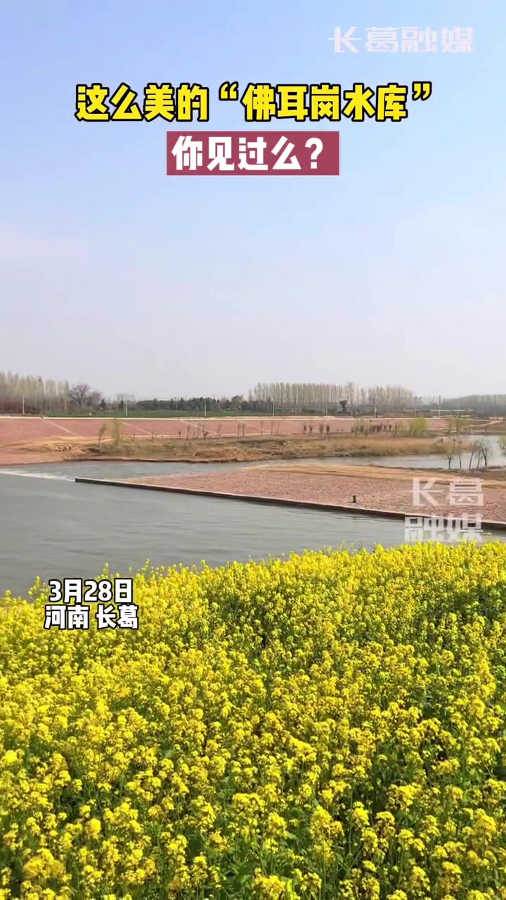 这么美的佛耳岗水库你见过么春天的故事