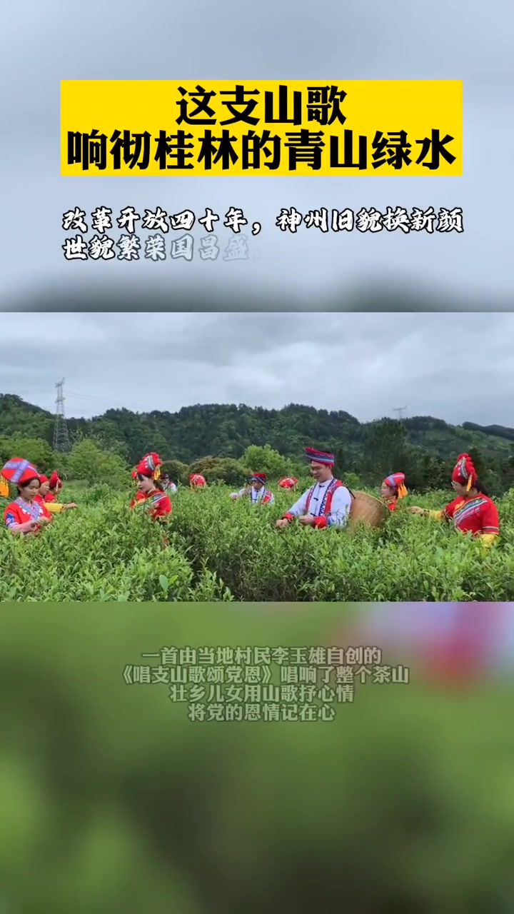 4月1日在平乐县桥亭乡上堡村的千亩生态茶园里身着壮族服饰的壮乡儿女