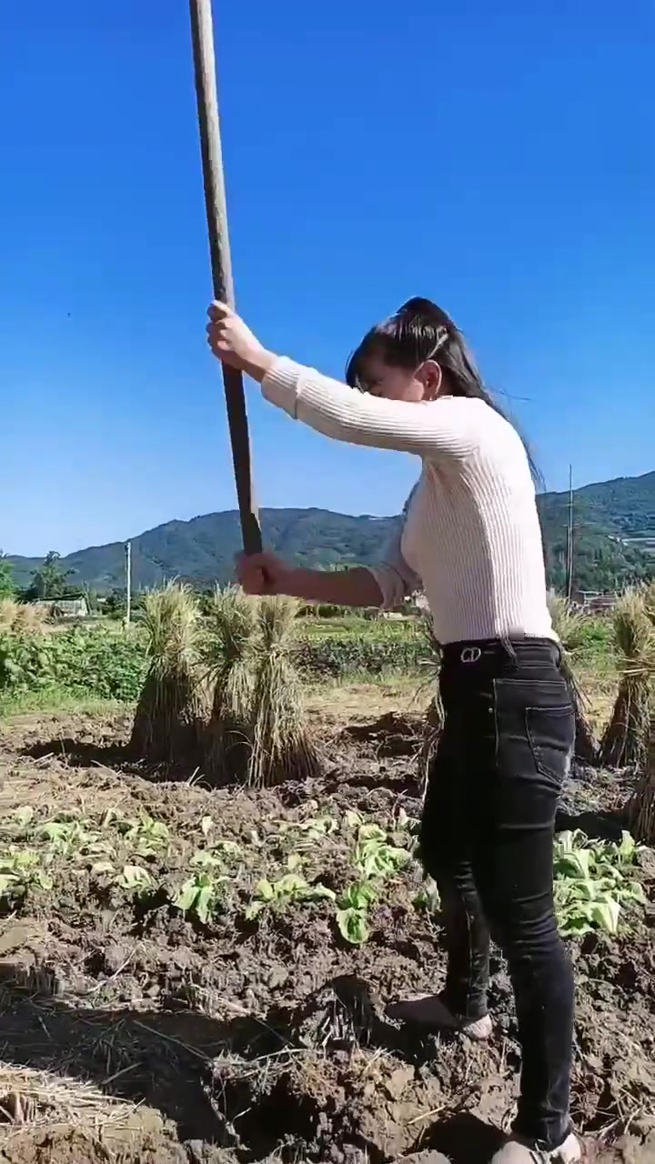 农村生活回家干农活农村人劳动者是最美的人这就是农村的生活