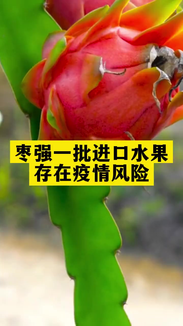 枣强一批进口水果存在疫情风险疫情防疫人人有责人人有责新冠肺炎进口