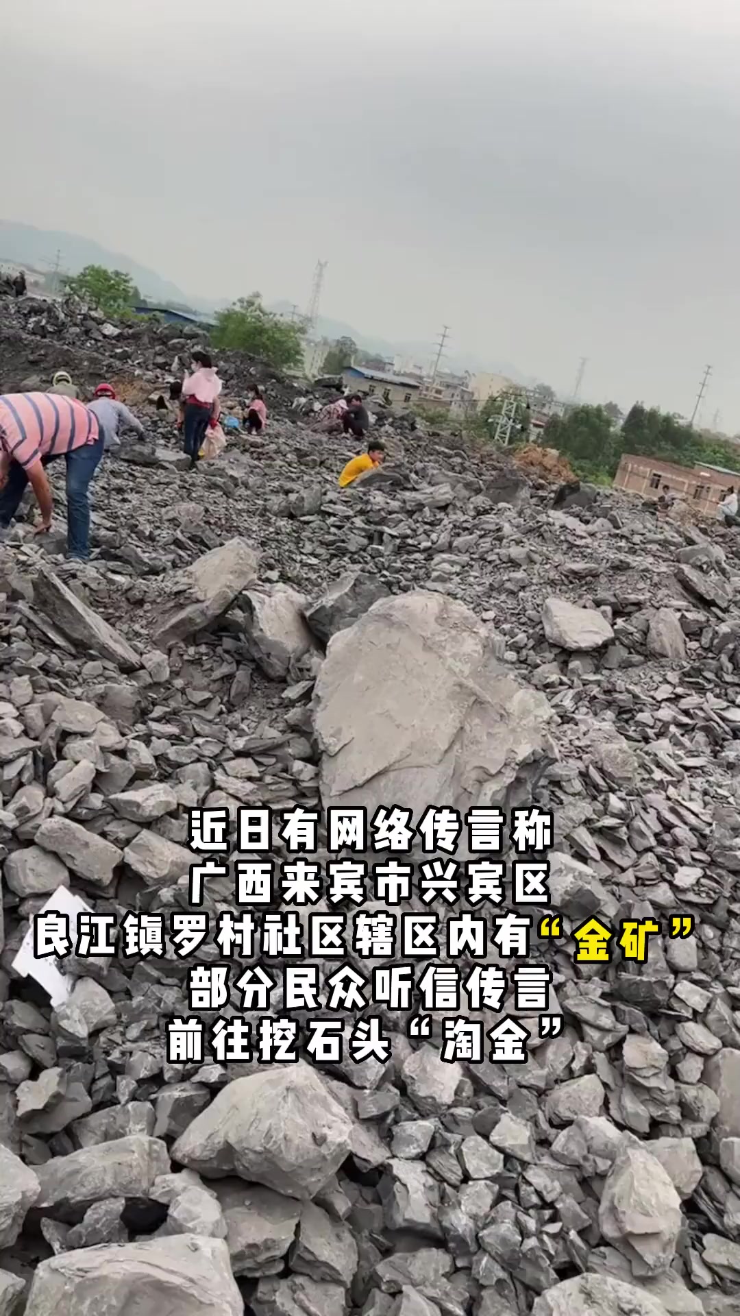 网传广西来宾发现金矿官方回应是黄铁矿金矿来源