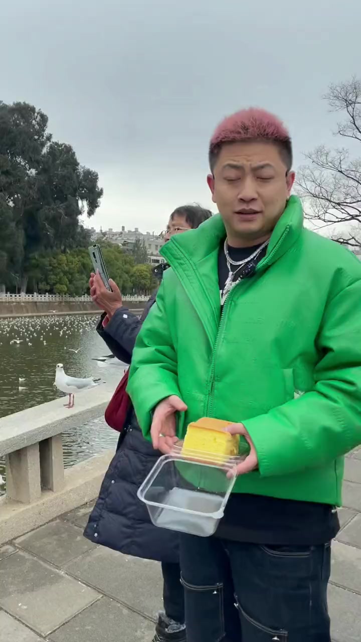 来了两次昆明了终于喂到海鸥了 非日姜vlog 我儿豁瑞思拜 喂海鸥 海鸥