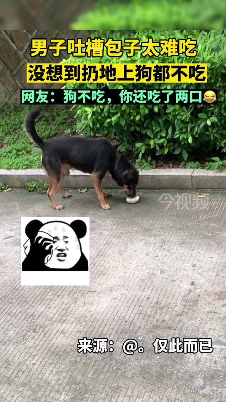 狗不理包子就是这么来的吧 狗不理 难吃的食物 搞笑 内容过于真实 惊