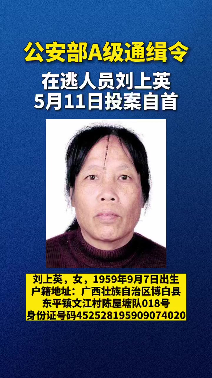 公安部a级通缉令通缉的重大拐卖妇女儿童犯罪在逃人员刘上英投案自首