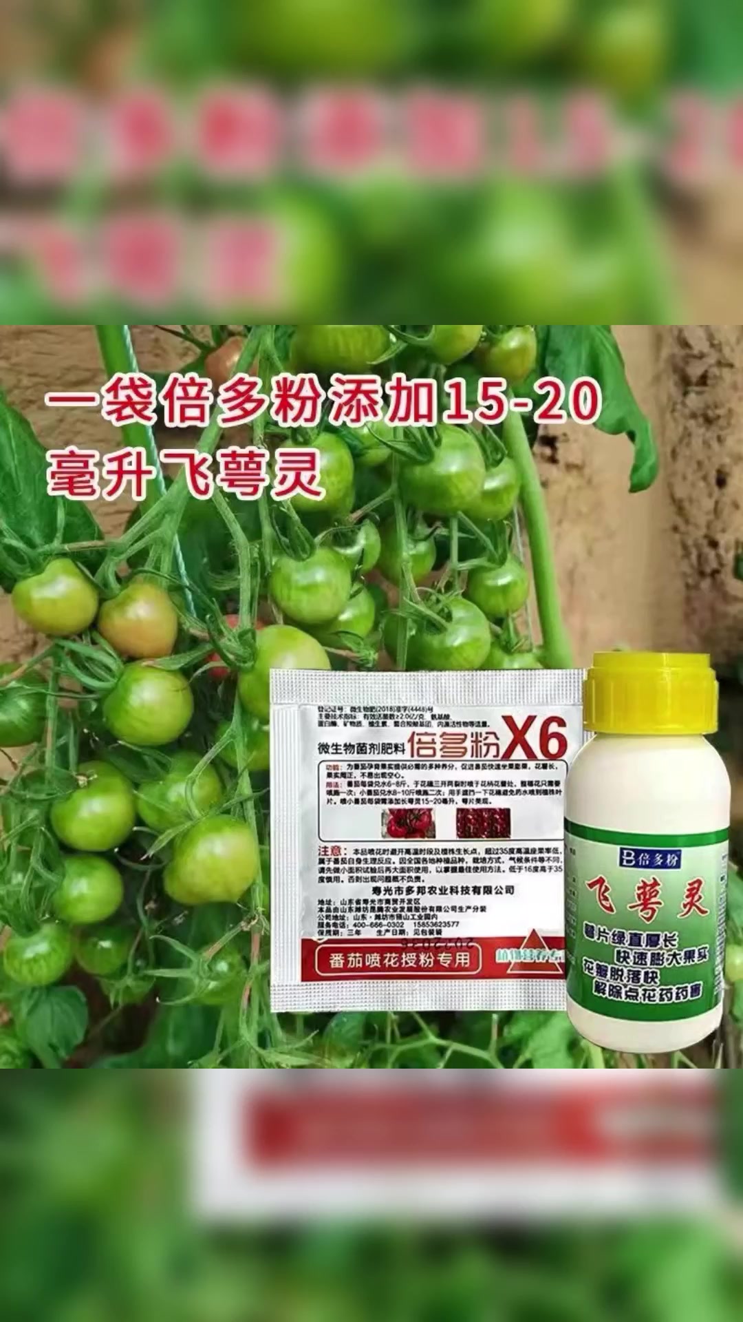 倍多粉番茄喷花药;倍多粉番茄坐果剂-度小视
