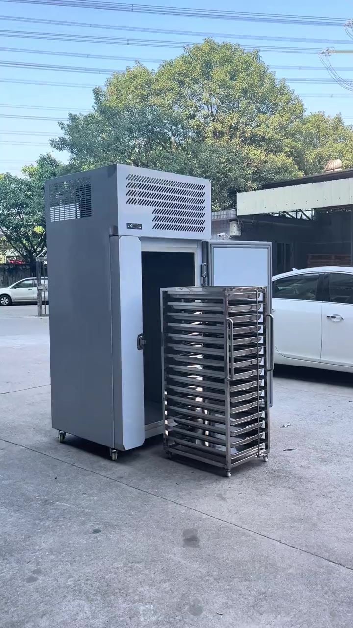 速冻冷柜大风机强风冷上百种食材皆可保鲜驰能商厨设备驰能厨房设备
