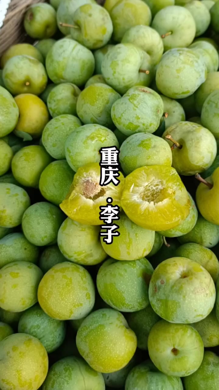 蜂糖李四五十一斤我们重庆的江安李23块一斤不香吗优质农产品618好物