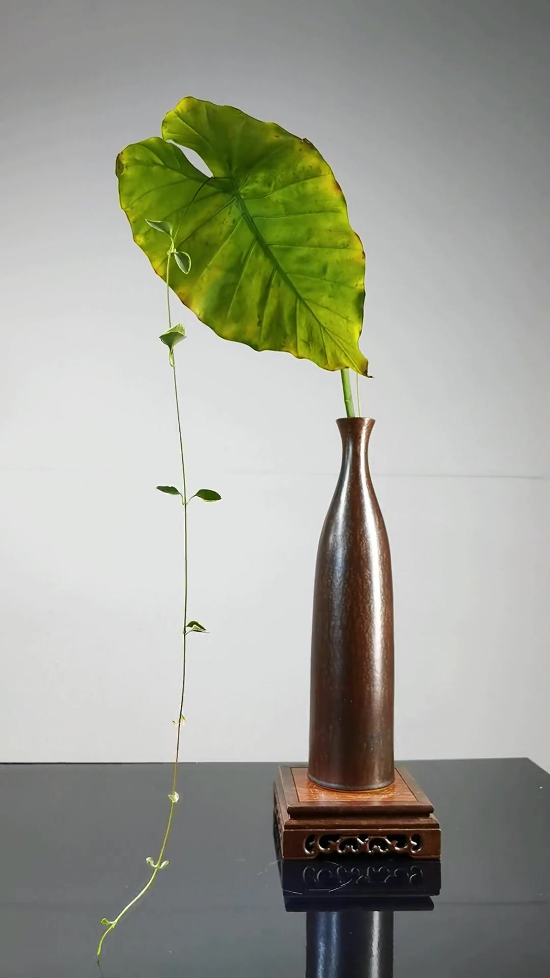 惬意的生活靠自己创造 蝴蝶兰 禅意茶席花艺-度小视