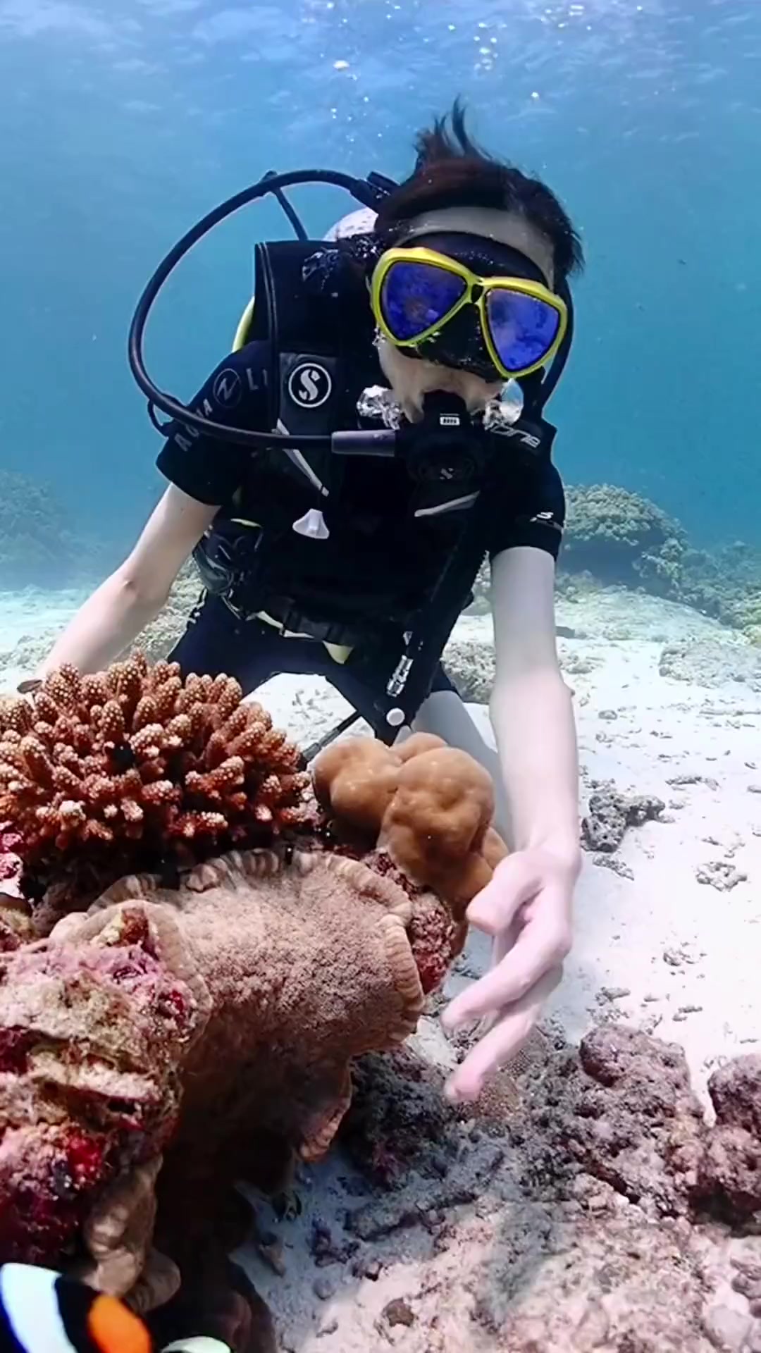 那些年你们来青岛潜过的海,有这么美吗?