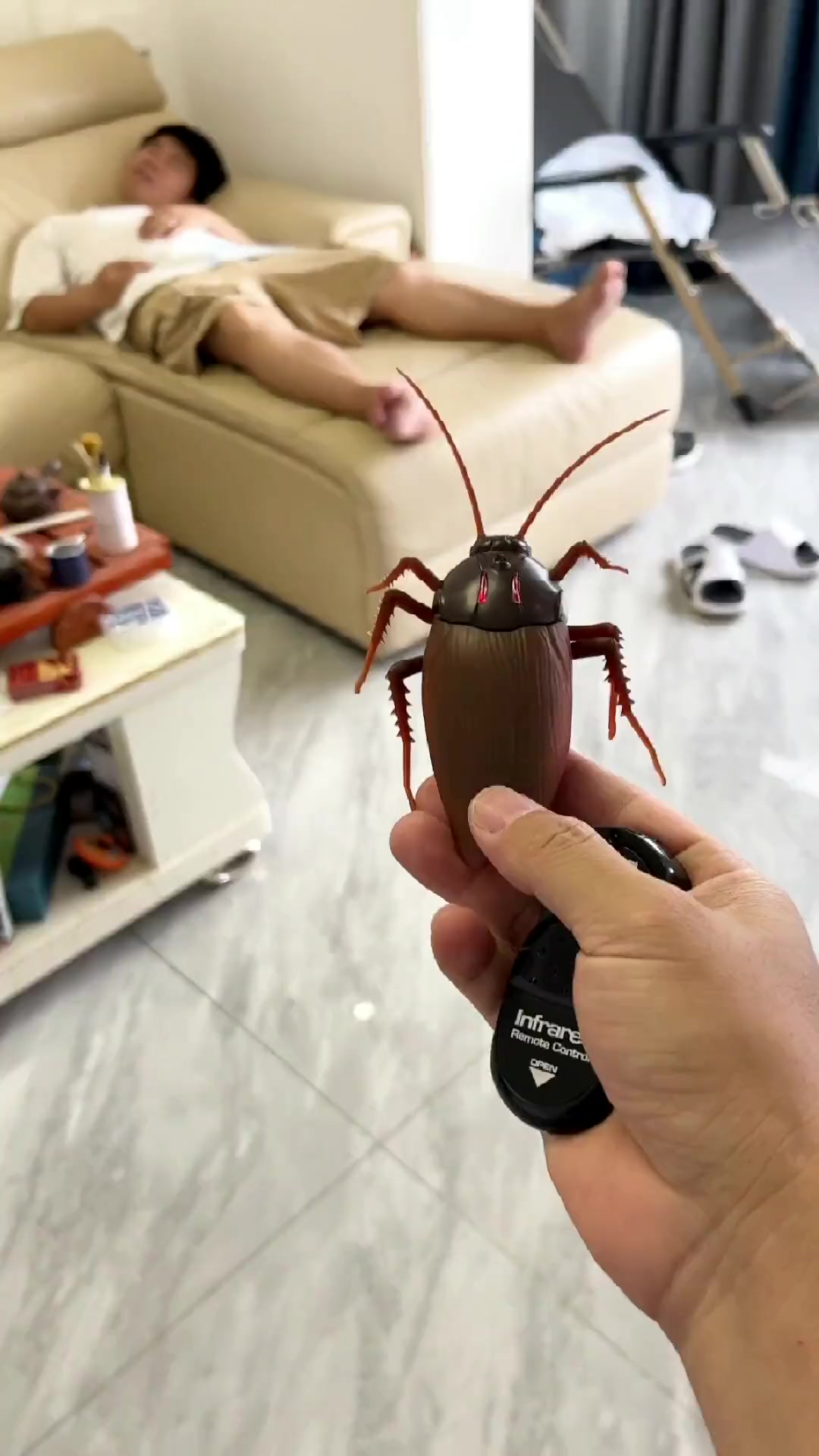 就变异的超大蟑螂可还行巨量千川