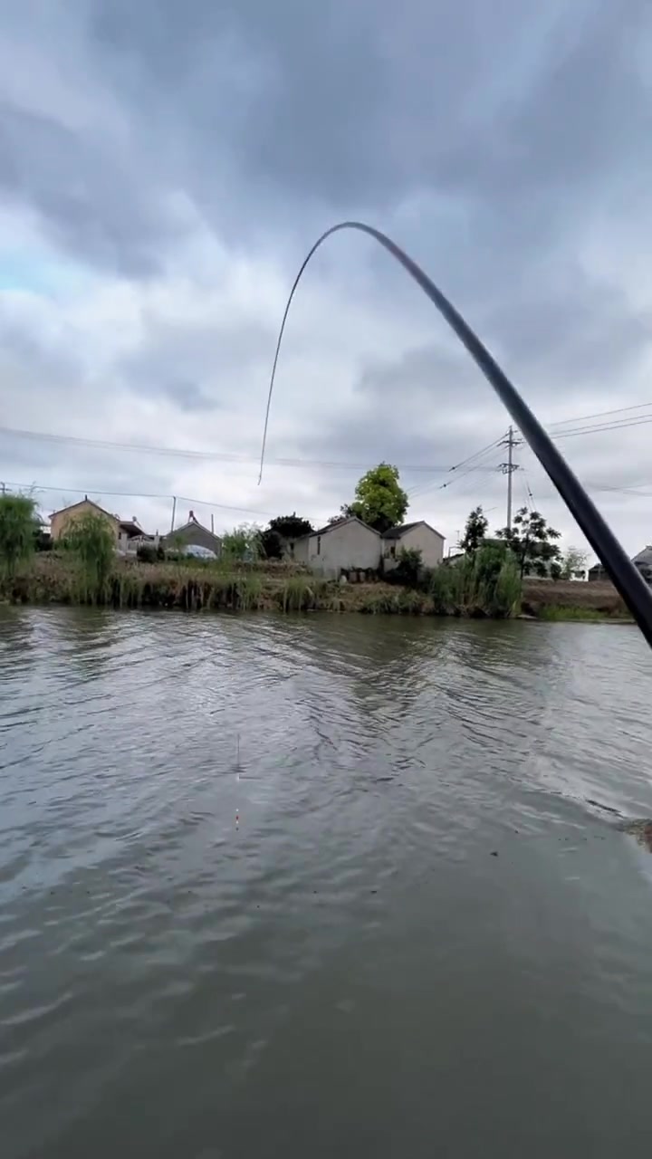 钓鱼人 户外钓鱼 爱生活爱钓鱼 真实户外-度小视