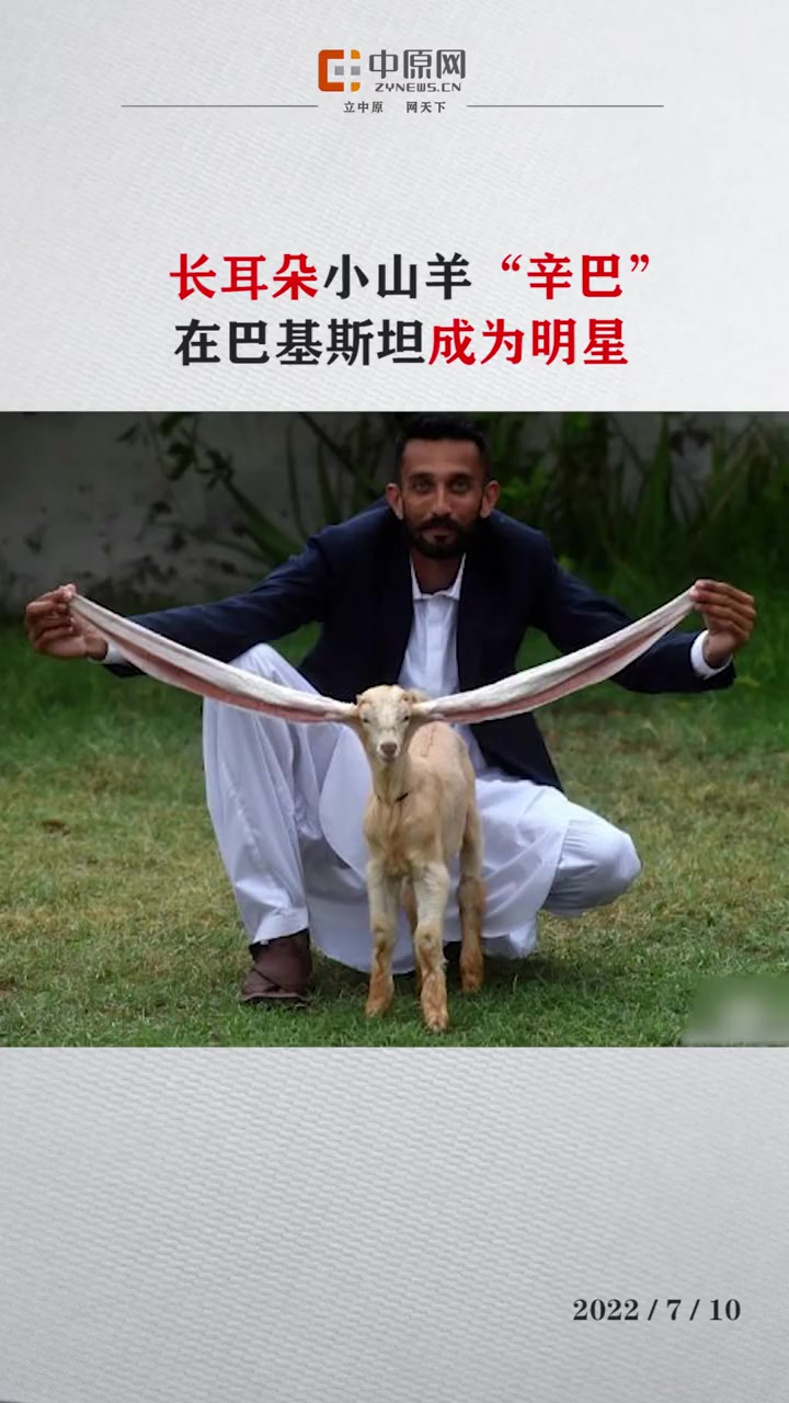 据德新社7月8日报道,一只耳朵特别长的小山羊在巴基斯坦引起了轰动,成