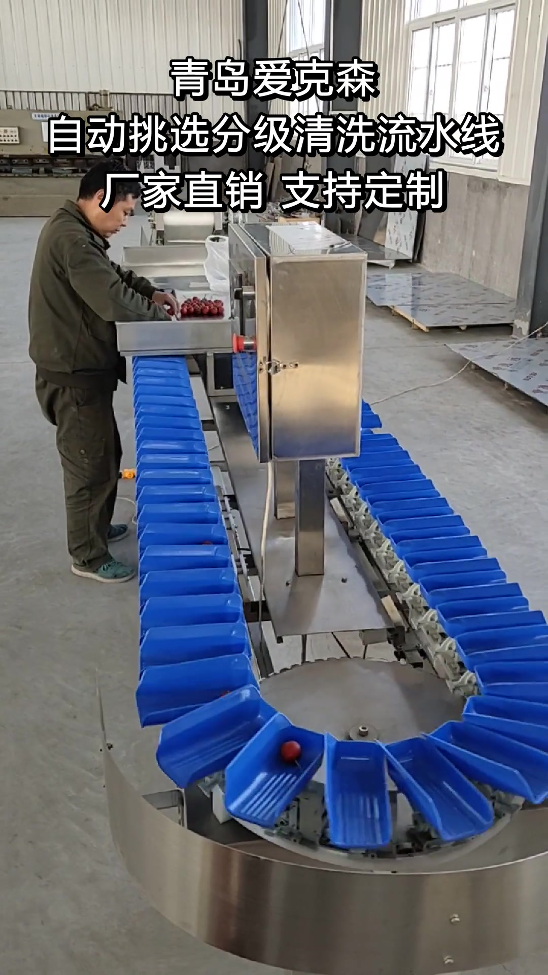 转盘式分拣机水果称重分级机鱿鱼全自动重量分选机茗圣森