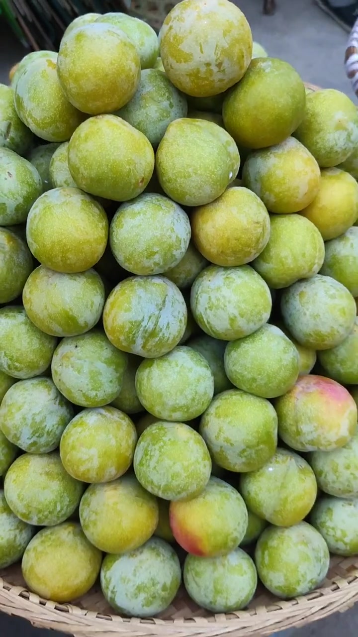 分水李子(水李子多少钱一斤)