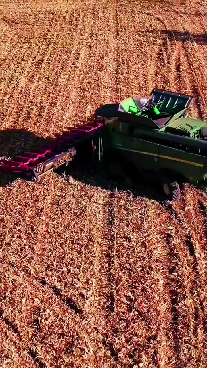 约翰迪尔s690i系列收割机配备16行卡佩罗玉米割台玉米