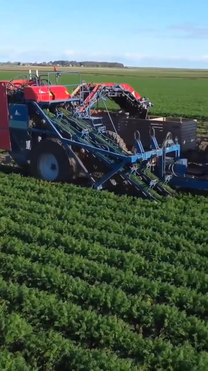 胡萝卜收获机 三农 农业轴承就用喜牛轴承 收割机-度小视