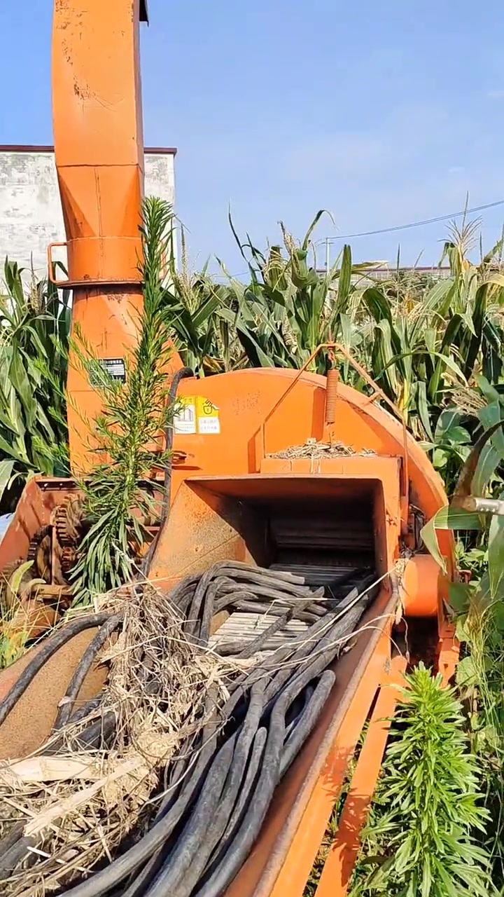 九吨四达铡草机,大家看看值不值临泉羊哥羊毛剪-度小视