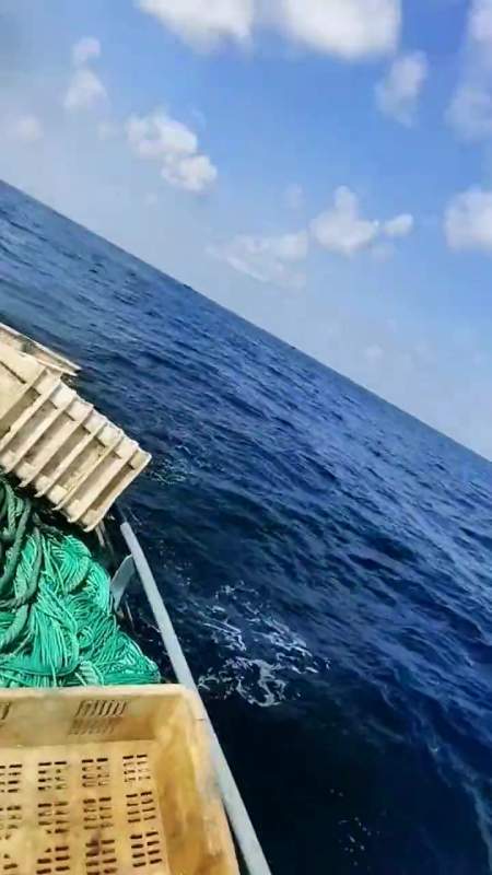 双拖渔船放网全过程精彩演绎渔民日常-度小视