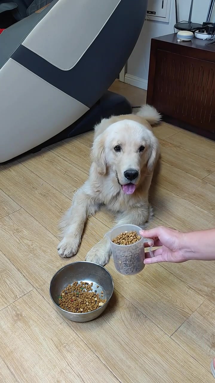 喂不起了,谁要谁领走宠物光合计划 搞笑萌宠