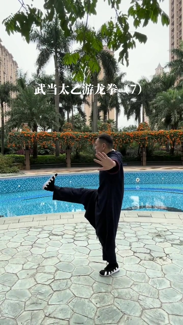 武当太乙游龙拳太极 武当 太极养生动起来-度小视