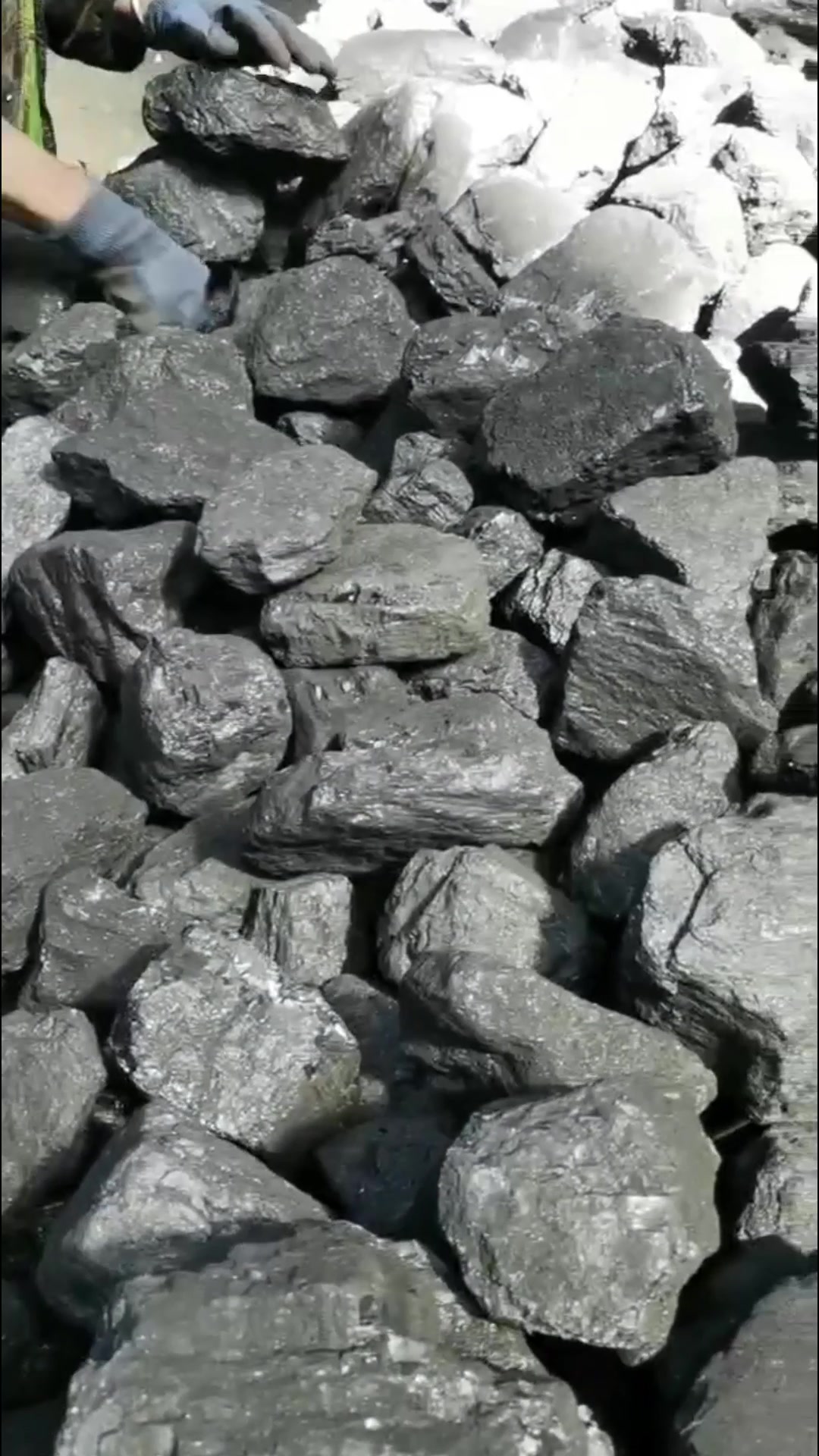 福建民用煤生产厂家 民用煤 山东民用煤价格 福建民用煤生产厂家 工业