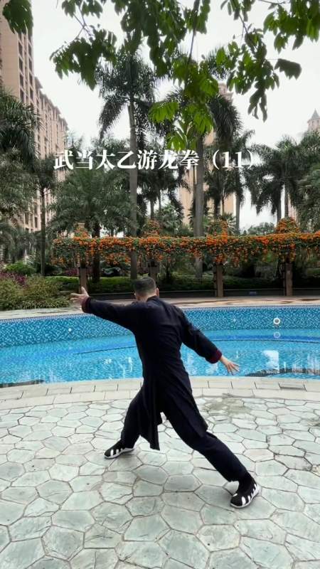武当太乙游龙拳(11)太极 太极养生动起来 武当-度小视
