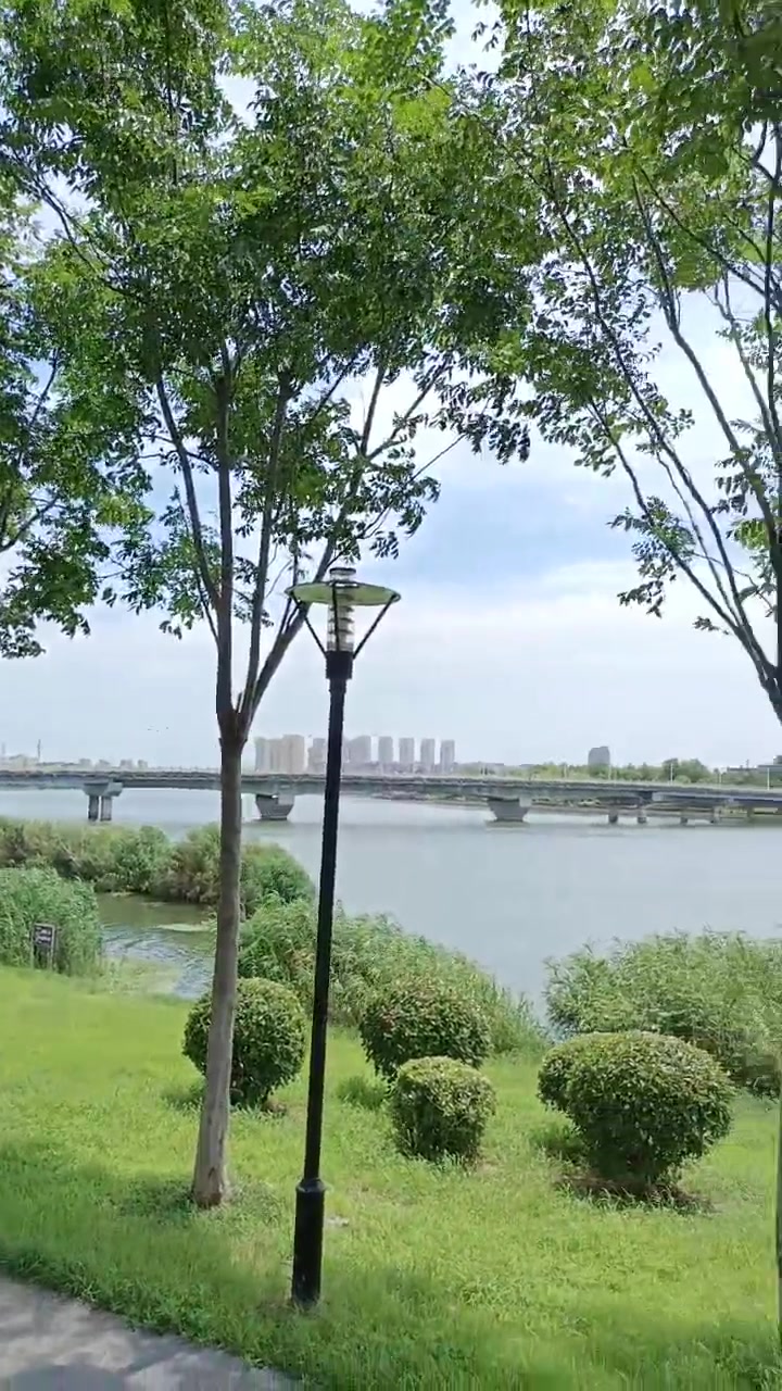 亳州涡河大地桥初秋的风光