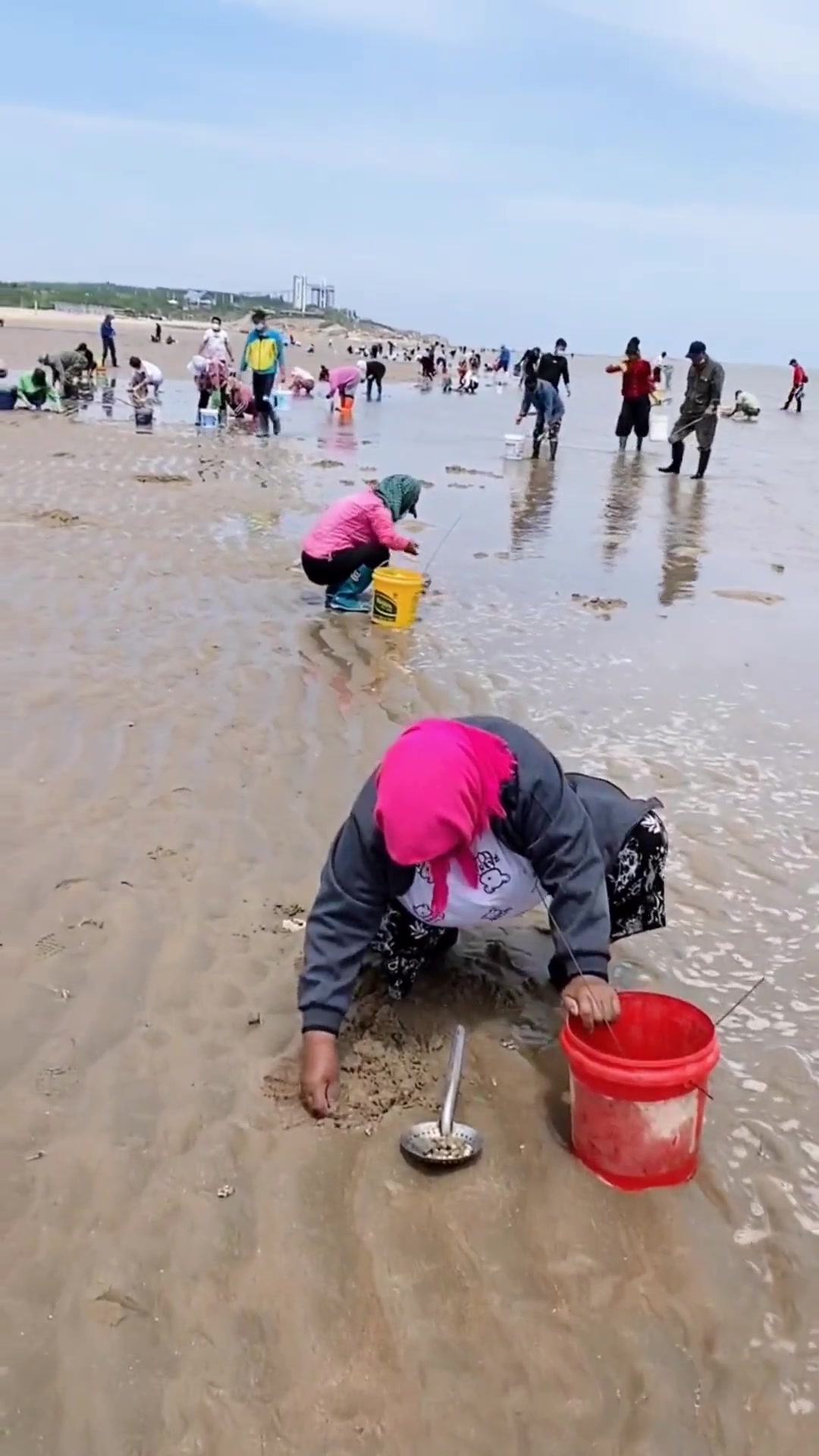 真实的赶海生活!