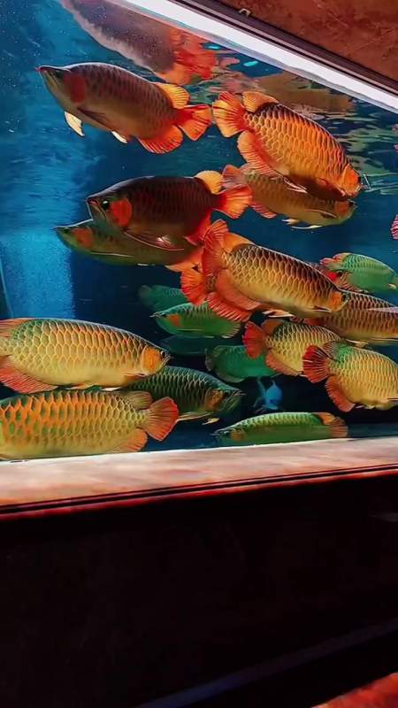 450_800竖版 竖屏