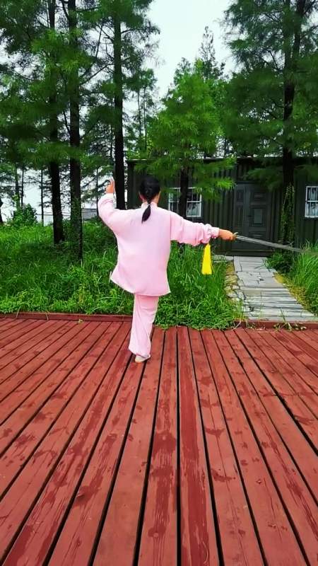 新编二十八式综合太极剑背向演示 口令字幕-度小视