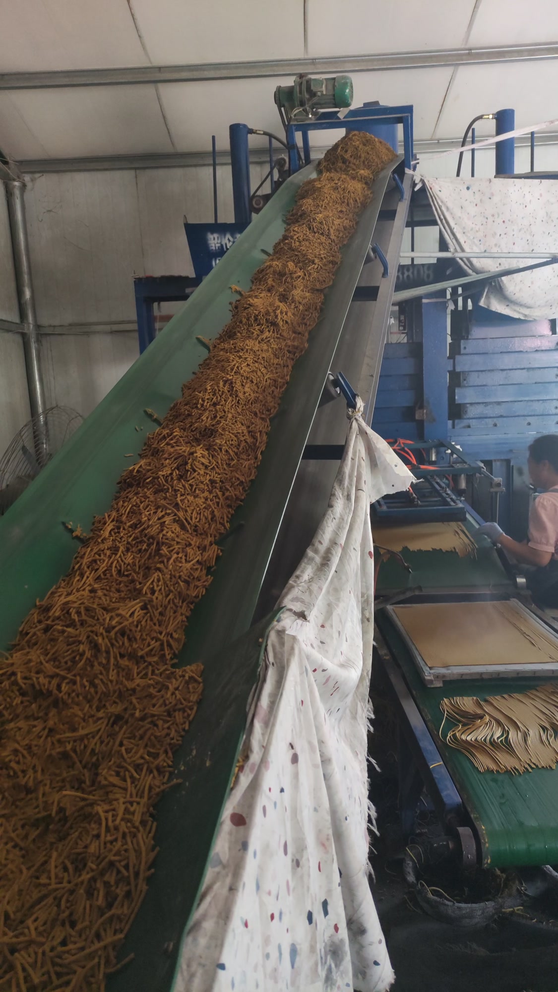 全自动制香机器生产线