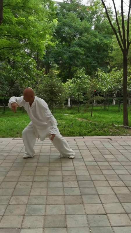 我的太极基本功～抱球式云手-度小视