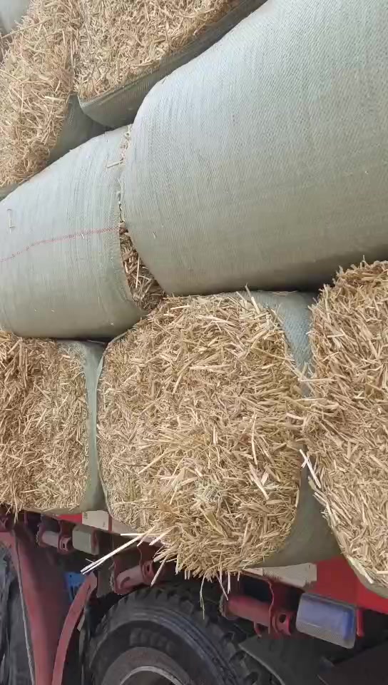 应纯干花生秧秸秆青贮 牛羊用 营养植物纤维-度小视