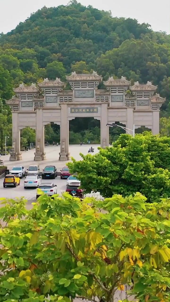 惠阳市中心区的亚公顶森林公园,城市之肺,天然氧吧!