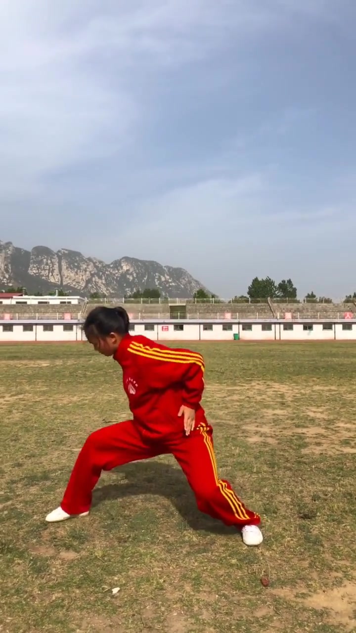 八卦掌,又称游身八卦掌,八卦连环掌