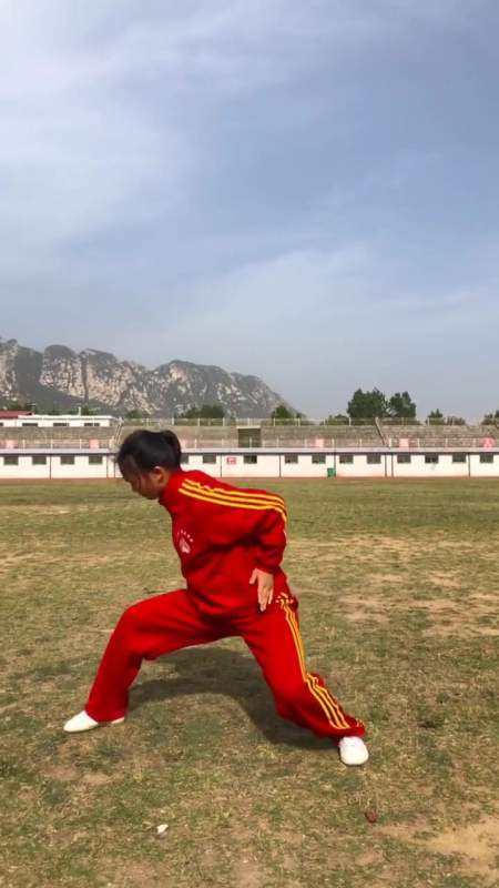 八卦掌,又称游身八卦掌,八卦连环掌