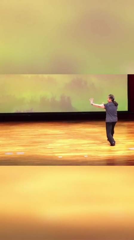 武术名家苏自芳老师演练的八卦掌,八卦掌,武术,武术人-度小视