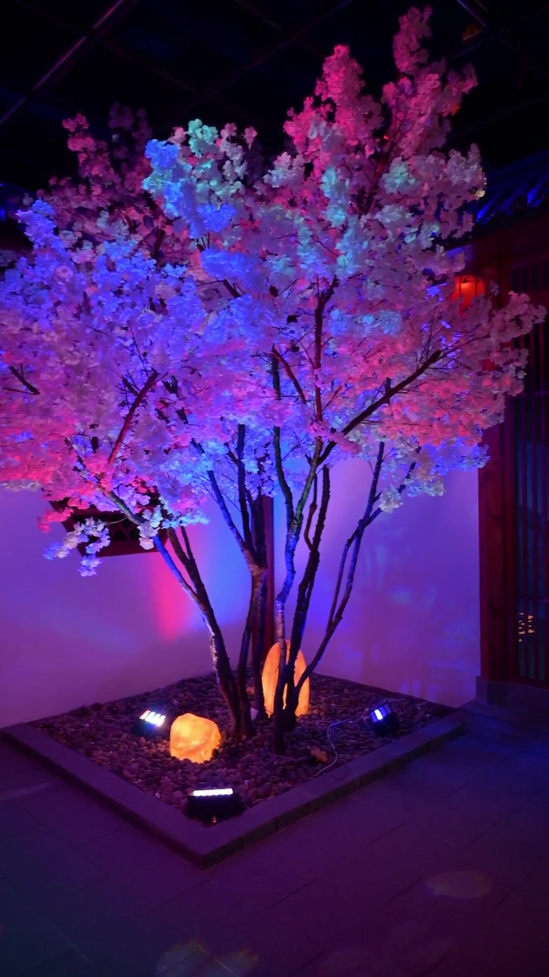 投影灯,景观投影灯厂家可供应落花灯,水纹灯等景观投影灯厂家,景观