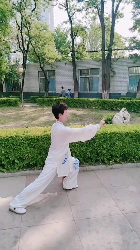 四十二式太极剑(1)马老师讲解.行云流水演练-度小视