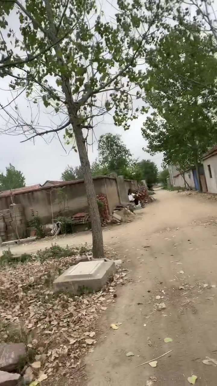 回老家割麦了,看看四下无人赶紧拍个视频 农村生活搞笑