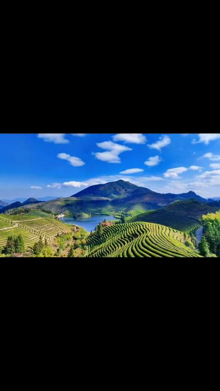 与山水交友不累 与草木谈心最真 航拍 治愈系风景 来武义我养你-度小