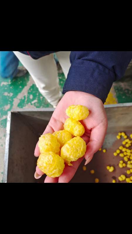 三螺杆膨化机膨化玉米糁操作规程-度小视