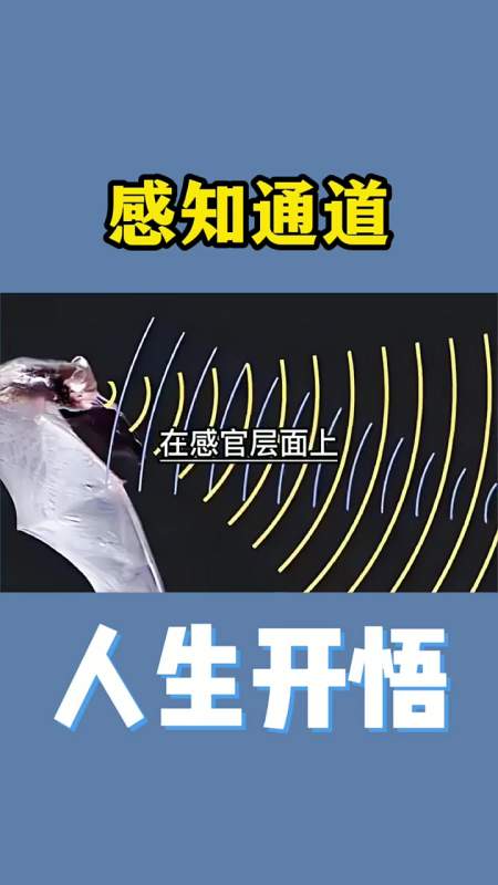 人生哲学:开悟人生,感知通道-度小视