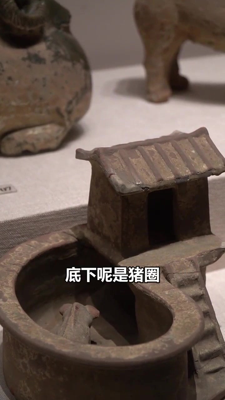 你上过带猪圈的厕所吗?