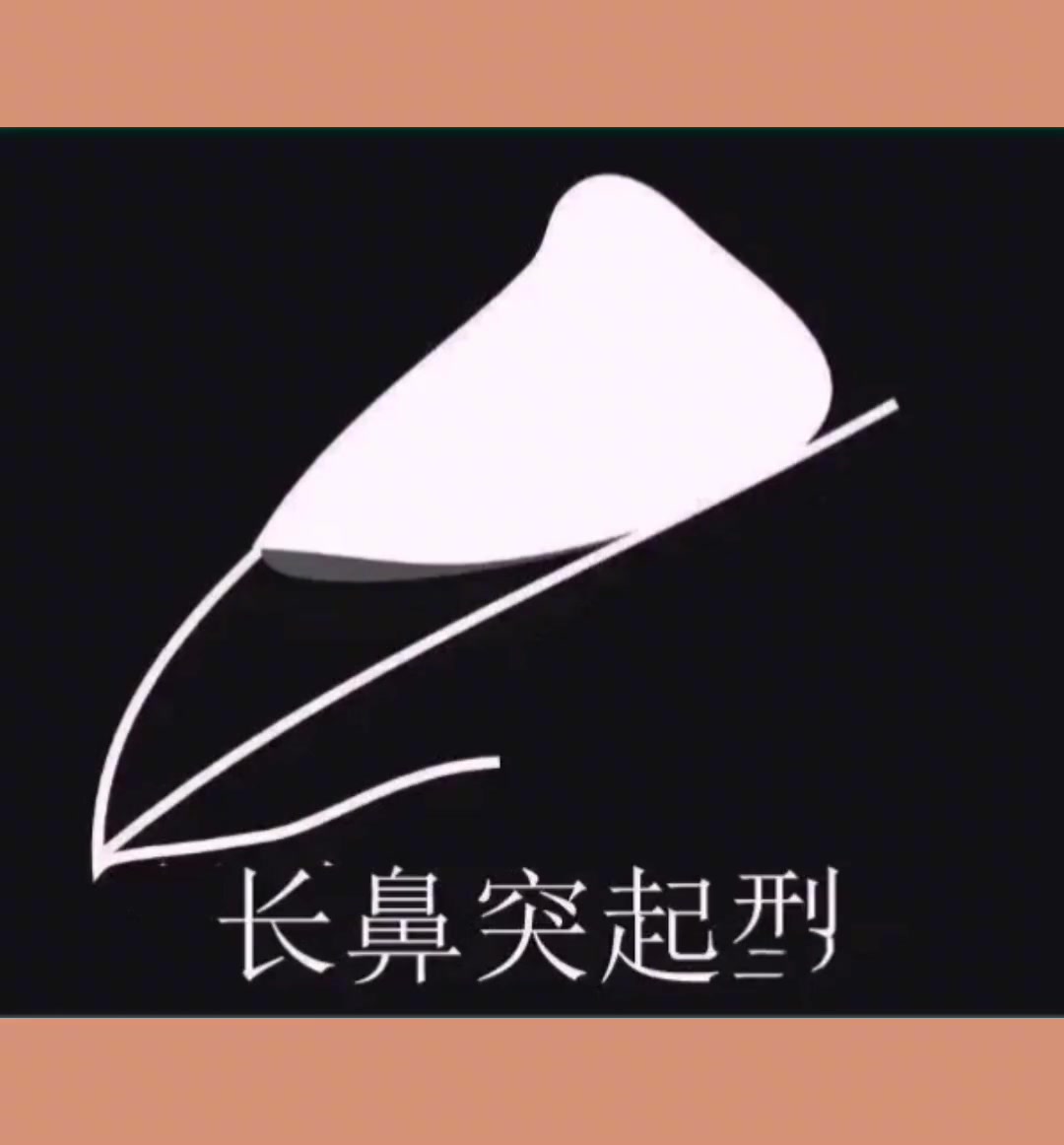 养鸽人 鸽子 信鸽赛鸽 这种鼻型是典型的快速鸽